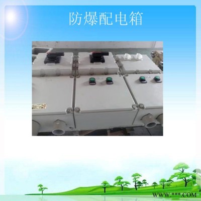 防爆配电箱BXM-D配电箱图1