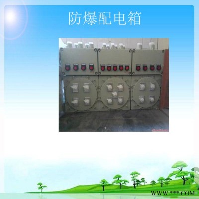 防爆配电箱BXM-D配电箱图5