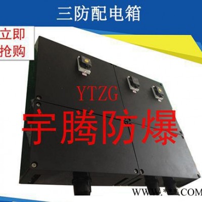 三防配电箱 防水防爆配电箱 防爆防腐配电箱图3