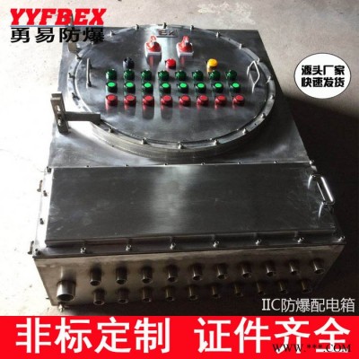 IIC型防爆配电箱，ⅡC防爆配电箱直销，IIC防爆箱，2C防爆配电箱图3