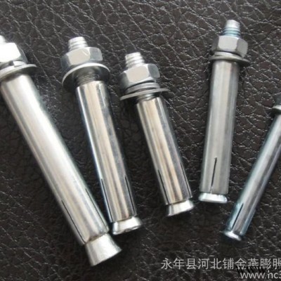 供应8*70膨胀螺丝图3