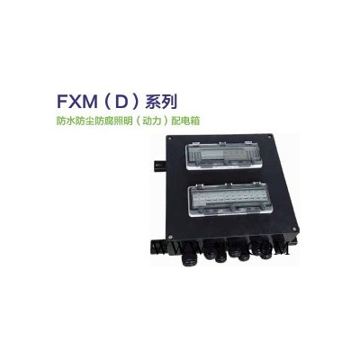 祥华FXM(D) 防水防尘防腐配电箱 三防配电箱图4