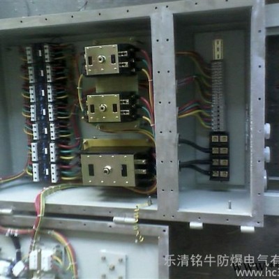 防爆动力配电箱-防爆配电箱定做厂家图3