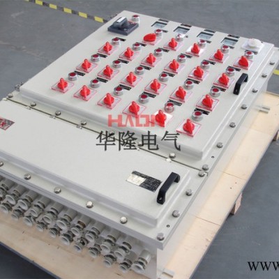 IIB防爆配电箱-防爆箱-定制厂家-防腐配电箱图5