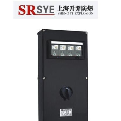 直销 防爆防尘防腐照明(动力)配电箱 防爆配电箱图3