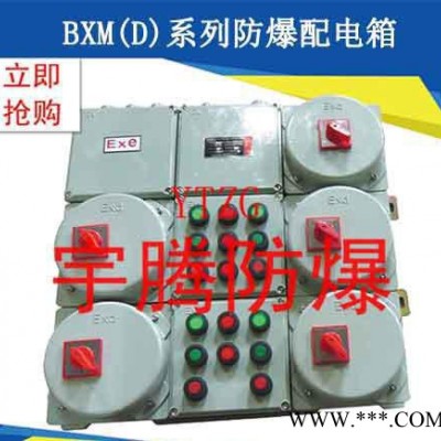 推荐 BXD51系列防爆照明(动力)配电箱 高质量防爆配电箱图2