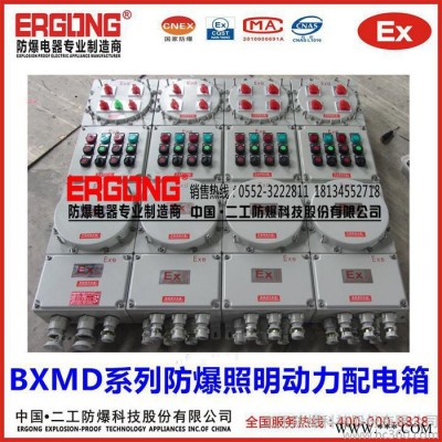 二工防爆BXMD系列防爆配电箱氢气环境专用IIC级防爆照明动力配电箱图3