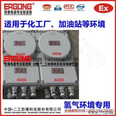 二工防爆BXMD系列防爆配电箱氢气环境专用IIC级防爆照明动力配电箱图2