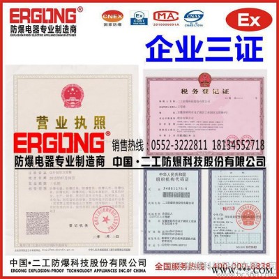 二工防爆BXMD系列防爆配电箱氢气环境专用IIC级防爆照明动力配电箱