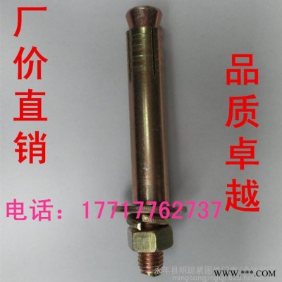 厂价现货电梯膨胀 电梯专用膨胀螺丝 电梯壁虎 电梯膨胀栓 电梯锚固螺丝 电梯螺丝M6*50图3