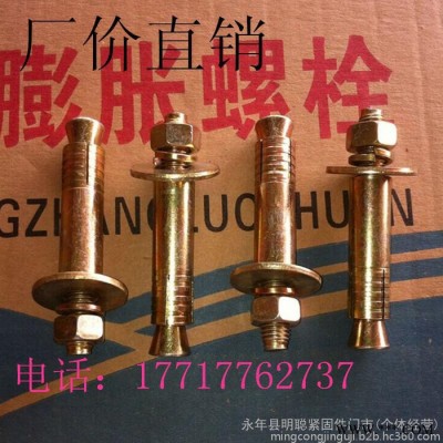 厂价现货电梯膨胀 电梯专用膨胀螺丝 电梯壁虎 电梯膨胀栓 电梯锚固螺丝 电梯螺丝M6*50图2