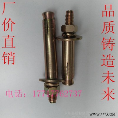 厂价现货电梯膨胀 电梯专用膨胀螺丝 电梯壁虎 电梯膨胀栓 电梯锚固螺丝 电梯螺丝M6*50图1
