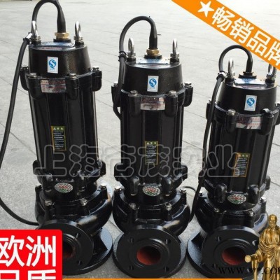 15kw潜水污水泵 应急潜污泵 qw涡流控制柜 主打图3