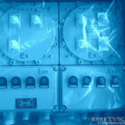 德力西防爆配电箱,**图4