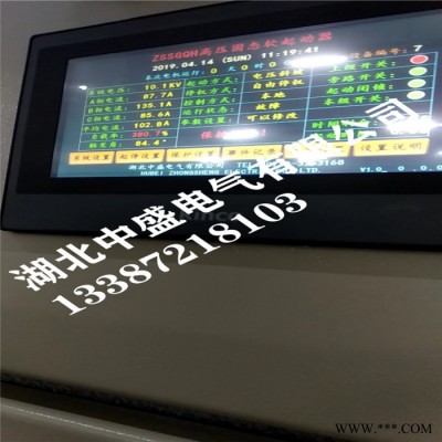 【湖北中盛】ZSSGQH高压固态软启动柜  值得信赖电机软起动控制柜厂家图5