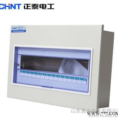 正泰PZ30系列照明配电箱图2