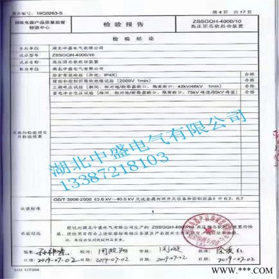 【湖北中盛】 电机保护功能ZSSGQH高压固态软启动柜 性能优异的软启动控制柜图3