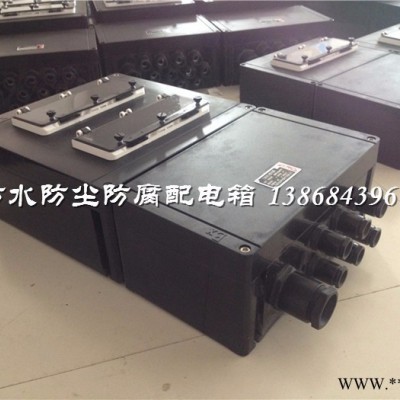 FMX-4K防水防尘防腐照明配电箱图2
