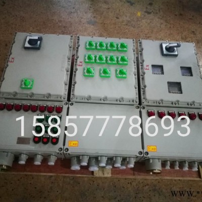 德粤电气BXM、BXK、BXMD 防爆动力配电箱图2