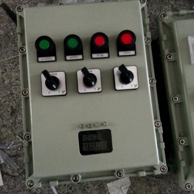 BXD8050-6/KXD防爆动力配电箱图2