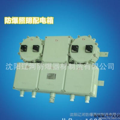 防爆配电箱 动力 照明 辽河防爆 直销 BXD BXM