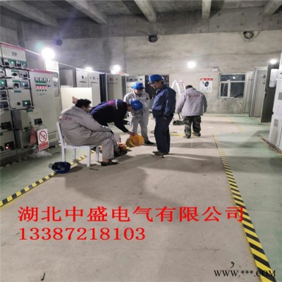 中盛电气10KV干式二合一固态软起动柜 厂家供应电动机软启动控制柜图4