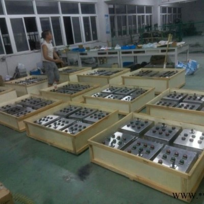 浙创 定做 BXMDMM不锈钢防爆配电箱图4