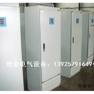 智业CLAS-10J 配电箱