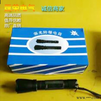 霆荣**BXM(D)防爆配电箱防爆断路器防爆磁力启动器动力照明配电箱防爆手电筒防爆立式配电箱防爆立式操作柱做图6