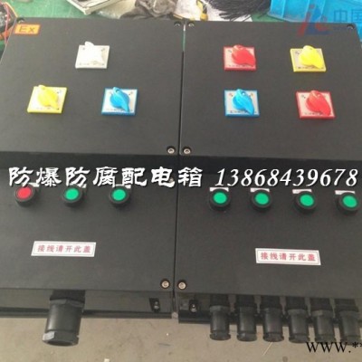 BMX52-S4K防爆防腐照明配电箱图3