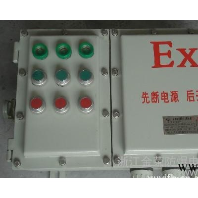 BXK-T非标防爆配电箱，不锈钢/钢板防爆配电箱厂家定做图3