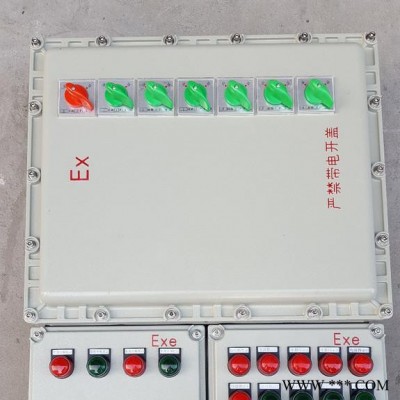 隆顺BXM(D)-防爆配电箱图3