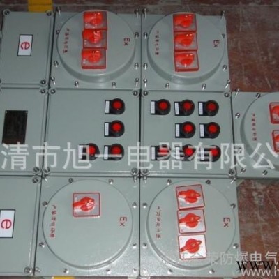 BXMD51不锈钢防爆配电箱/防爆照明动力配电箱