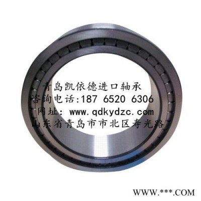 德国INA满装滚子轴承系列 SL04-5026NR卡槽轴承 化工机械设备常用轴承图3