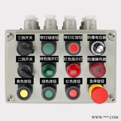 防爆仪表箱防爆开关箱防爆断路器防爆变频控制柜 防爆空调防爆铁箱定制不锈钢箱铸铝空箱
