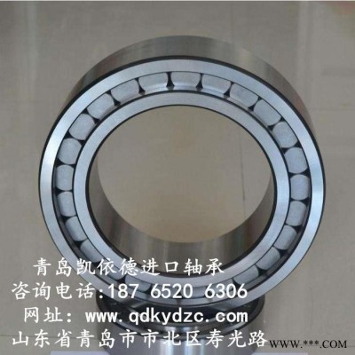 SL满装圆柱滚子轴承 青岛凯依德INA进口轴承 SL19-2316轮船专用轴承图2