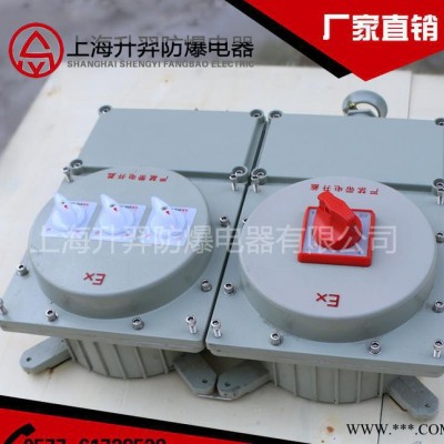 直销 粉尘防爆配电箱 IIC级防爆控制箱图2
