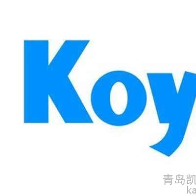 日本KOYO进口轴承代理 东阳推力滚针轴承K30X35X17轴承介绍图2