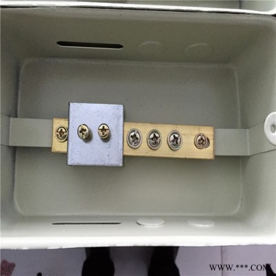 TD28配电箱 等电位端子箱 局部等电位联接端子箱 厂家大量现货批发 浴室等电位图5