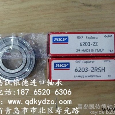 瑞典SKF进口轴承公司 双列深沟球轴承规格 6004-2RS1轴承供应商图2