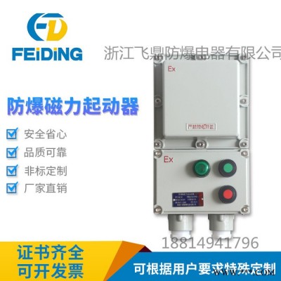 飞鼎防爆配电箱定做防爆控制箱接线箱动力照明配电柜电控箱检修插座箱 防爆检修箱