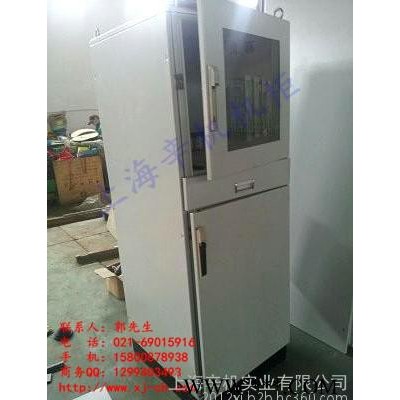 辛机机柜ES控制柜控制柜,威图样式电脑控制柜现货供应,控制柜控制箱生产商