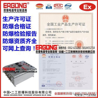 二工防爆BXMD防爆配电箱  进出线采用防爆插销  更安全更可靠                防爆标志：ExdeI