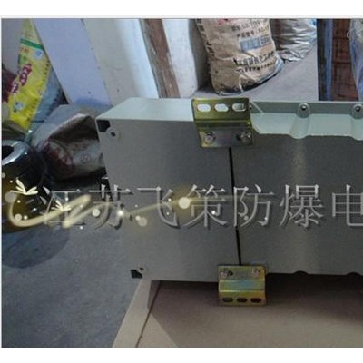 BM(D)G58-6防爆照明配电箱（壁挂式安装）图2