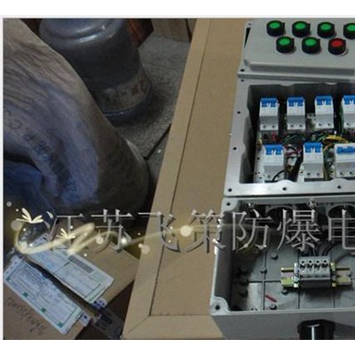 BM(D)G58-6防爆照明配电箱（壁挂式安装）图1