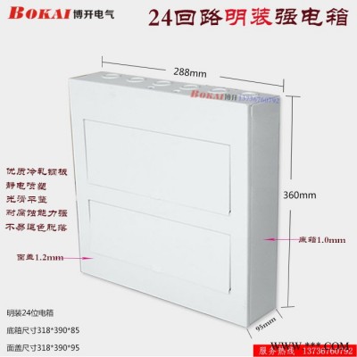 温州博开电气SK1-24AB 强电箱24回路布线箱接线盒回路箱配电箱图3