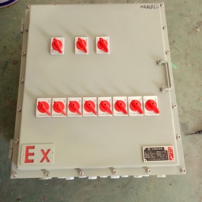 旭欣BXK 防爆控制箱防爆控制柜图2