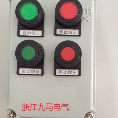 供应浙江九马电气BX8050防爆防腐箱三防配电箱  防爆防腐配电箱价格   防爆配电箱厂家图4