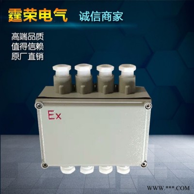 霆荣**BXM(D)防爆配电箱防爆接线箱图5