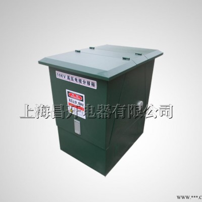 昌开DFW10-200A欧式两开门铜排箱 不锈钢配电箱 高压图1